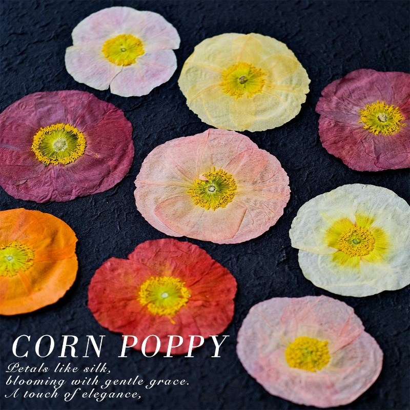 1pcs,Nature Field Poppy Presse - Resin Art For Photo Frame recension och pris