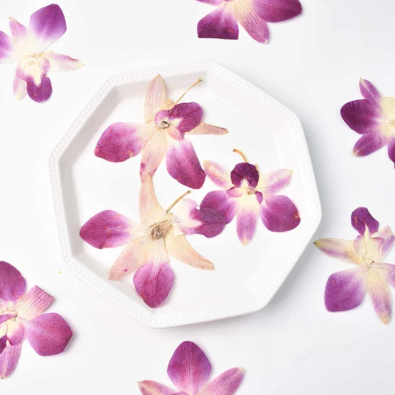 4pcs,Real Pressed Butterfly Or - Resin Art For Photo Frame recension och pris