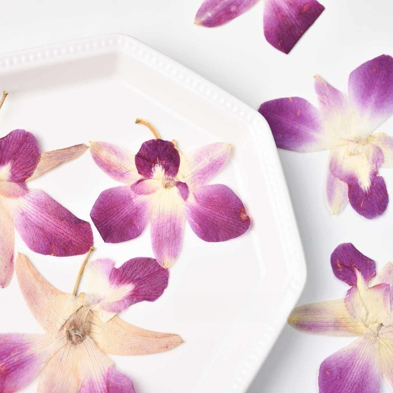 4pcs,Real Pressed Butterfly Or - Resin Art For Photo Frame recension och pris