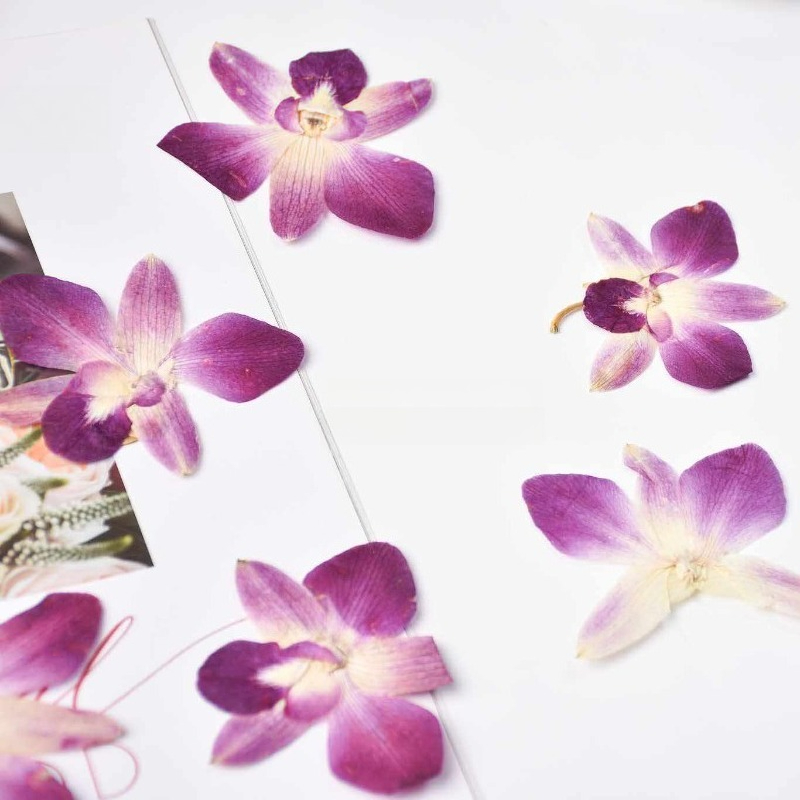 4pcs,Real Pressed Butterfly Or - Resin Art For Photo Frame recension och pris