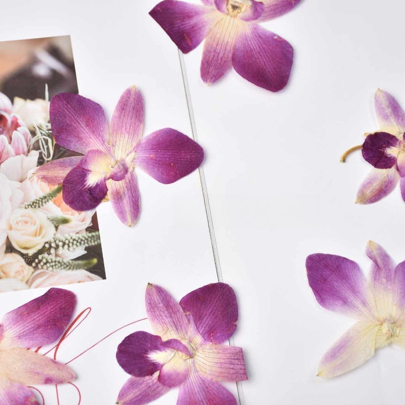 4pcs,Real Pressed Butterfly Or - Resin Art For Photo Frame recension och pris