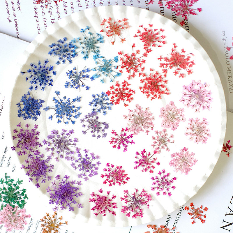 24pcs, 2-2.5cm, Nature Dyed Mi - Resin Art For Photo Frame recension och pris