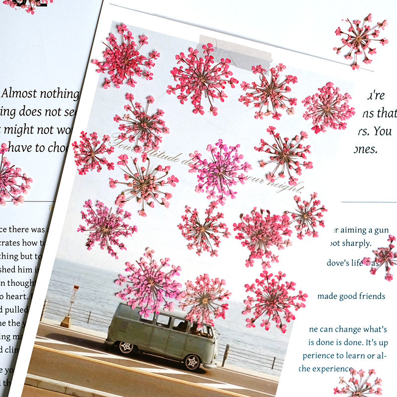 24pcs, 2-2.5cm, Nature Dyed Mi - Resin Art For Photo Frame recension och pris