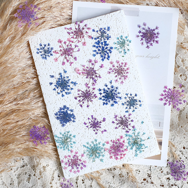 24pcs, 2-2.5cm, Nature Dyed Mi - Resin Art For Photo Frame recension och pris