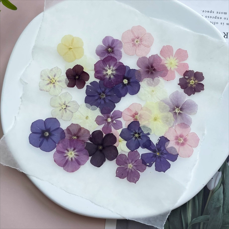 12pcs,Semi-Transparent Niche P - Resin Art For Photo Frame recension och pris