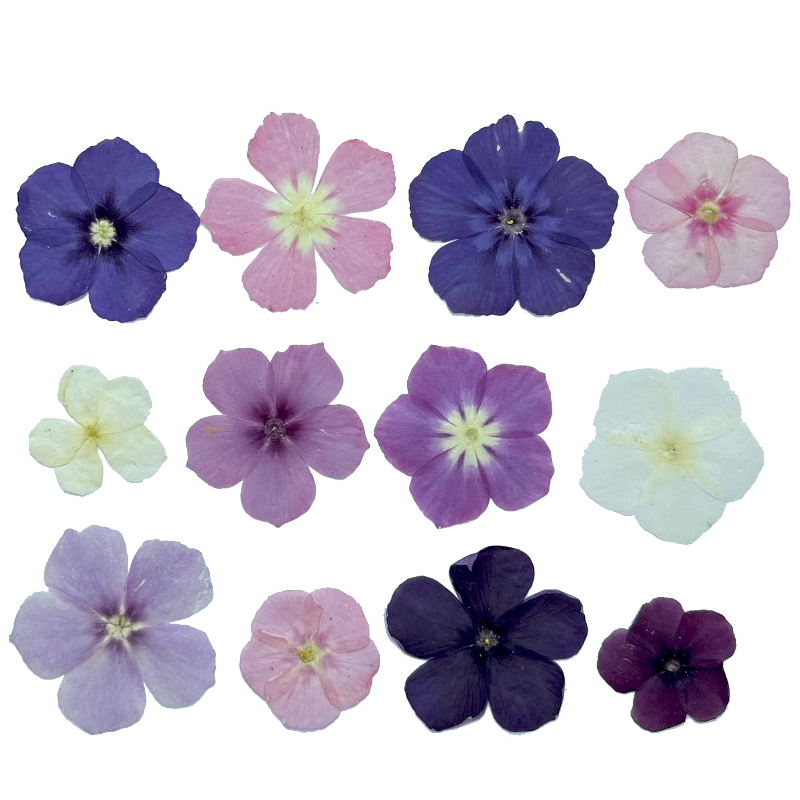 12pcs,Semi-Transparent Niche P - Resin Art For Photo Frame recension och pris